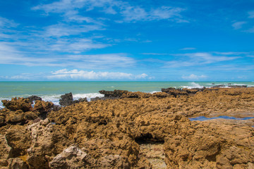 Fototapeta premium Coqueirinho Beach at João Pessoa, Paraíba, Brasil