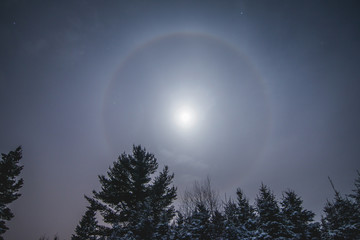 Fototapeta na wymiar Moon Halo in Wild Forest during Winter