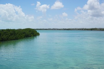 Mangroven Lagune auf Cayo Coco, Jardines Del Rey, Kuba, Karibik