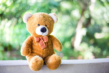 Bear doll with green nature background