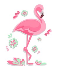 Flamingo Vector Illustration