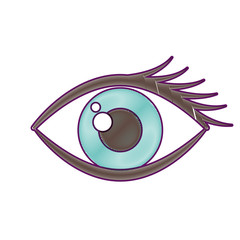 cartoon eye look eyebrow visual icon vector illustration
