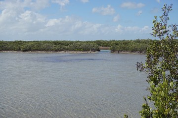 Lagune auf Cayo Coco, Jardines Del Rey auf Kuba, Karibik
