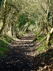 Bigod Way, Bungay
