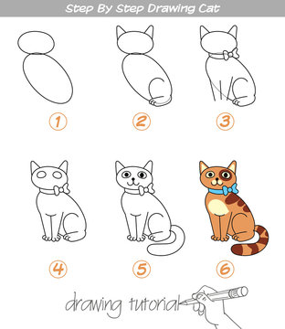 Step by step drawing Cat
