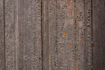 Fototapeta premium Wood texture exposed to the climate, natural lines detail.