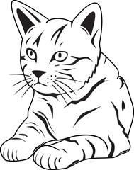 черно-белый кот