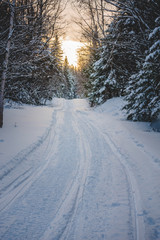 Fototapeta na wymiar Snowmobile Path in the Wild Nature