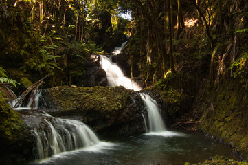 Hawaii Jungle Waterfall