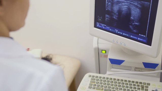 Doctor looks at screen of ultrasound machine