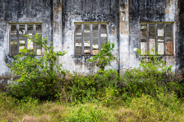 Fototapeta na wymiar Wall of Abandoned Building With Large Wooden Windows and Tall Grass and Bushes in Front