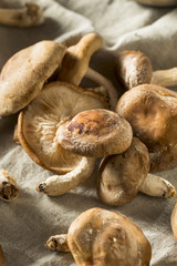 Healthy Organic Fresh Shiitake Mushrooms
