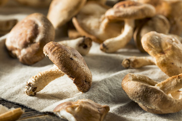 Healthy Organic Fresh Shiitake Mushrooms