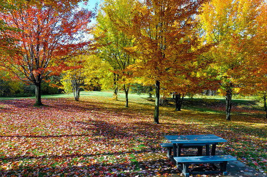 Autumn scene in Granby Quebec