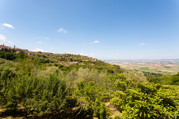Montalcino view, tuscany, Italy