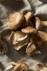 Healthy Organic Fresh Shiitake Mushrooms