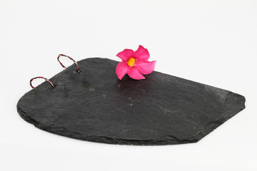 Schiefertafel mit rosa Blüte