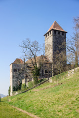 Obraz premium Burg Lichtenberg