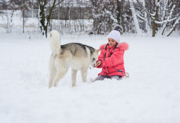 A smiling girl is feeding a Husky dog in the countryside in the winter.