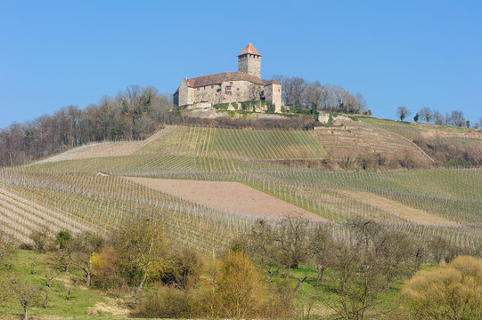 Burg Lichtenberg