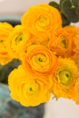 Bouquet of yellow ranunculus