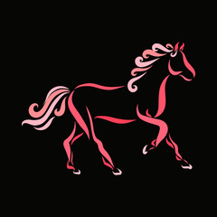 Fototapeta na wymiar Beautiful colorful horse with curls on a black background