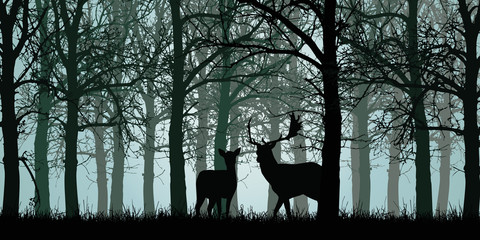 Vector illustration of deer and hind standing on grass