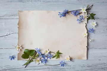 Poster de jardin Fleurs Spring flowers of scilla, anemones, snowdrops on a white wooden background and paper for text.