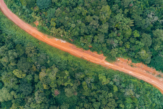 Caminho numa floresta tropical de escarpa na prov&iacute;ncia do Z&aacute;ire, Angola