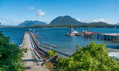 Tofino on the west coast of Vancouver Island at the northern edge of the Pacific Rim National Park Reserve, British Columbia. Canada.