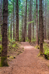 Hiking the rugged Juan de Fuca Marine Trail through wonderful beaches and ancient forests along the southwestern coast of Vancouver Island, British Columbia, Canada