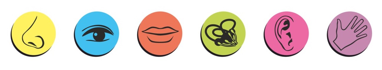 Fototapeta premium gesicht1101a