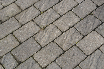 Background grey concrete texture