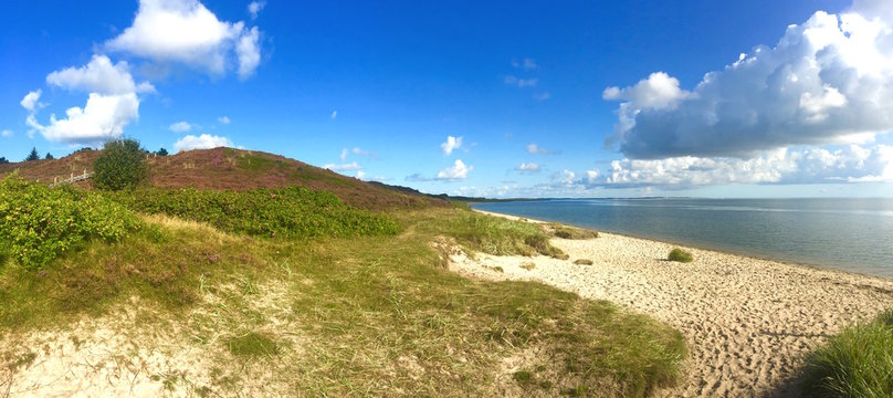 Braderuper Heide