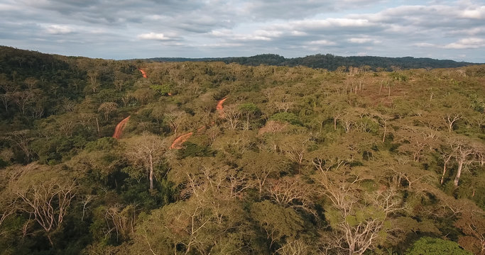 A floresta h&uacute;mida tropical dos Dembos em Angola vista do ar com Drone