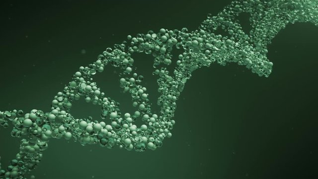 DNA glass cells molecule structure.DNA chain rotation.Green.Particles.3D rendered animation. Health care medicine needs.Type 2
