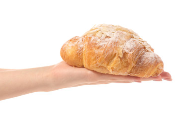 Almond croissant in hand