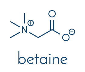 Betaine (glycine betaine, trimethylglycine) molecule. Originally found in sugar beet (Beta vulgaris). Skeletal formula.