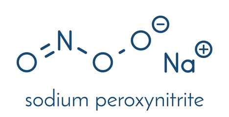 Peroxynitrite (sodium) reactive nitrogen species molecule. Formed by the reaction of the free radicals nitric oxide and superoxide in the human body. Skeletal formula.