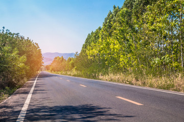 Travel road on summer Country side,Road with trees beside Concept