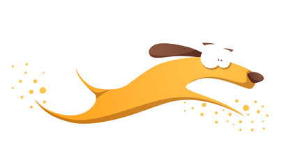 Funnu, cute, crazy yellow dog.