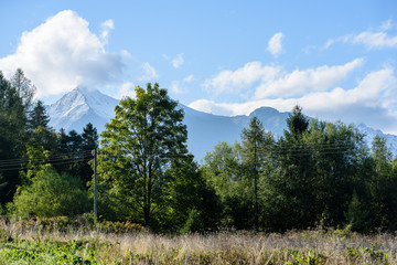 slovakian carpathian mountains in autumn with green forests