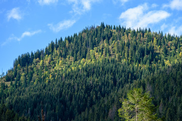 slovakian carpathian mountains in autumn with green forests