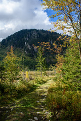 Fototapeta na wymiar slovakian carpathian mountains in autumn with green forests