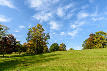 sunny day in summer park