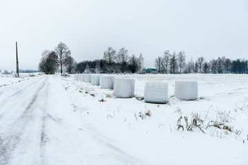 car tire tracks on winter road