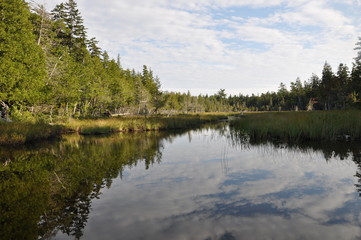 Fototapeta na wymiar Acadia Nationalpark, Maine, USA