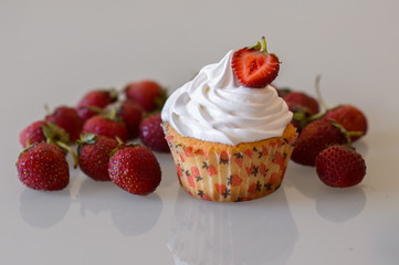 Gourmet cupcake for holiday