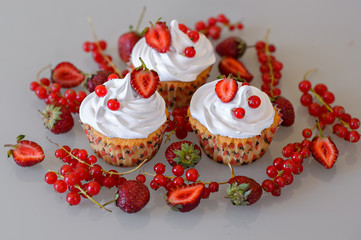 Gourmet cupcakes for holiday
