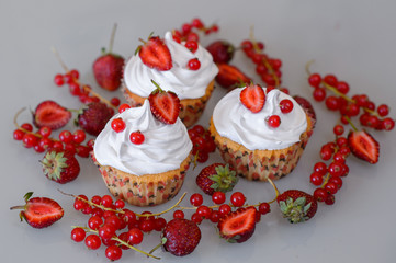 Gourmet cupcakes for holiday